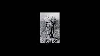 Stavroz - Talabout ( 2016 )