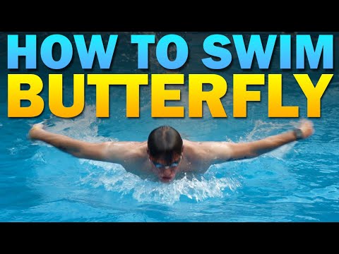 Get Better at the Butterfly Stroke: Expert Tips and Techniques for All Levels