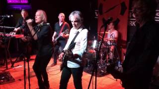 Watch Radio Birdman 455sd video