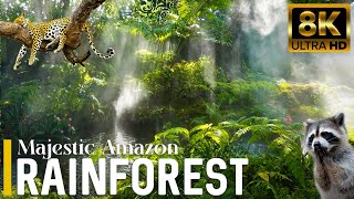 Majestic Amazon Rainforest 8K ULTRA HD | Relaxing Scenery Film With Relaxing Music