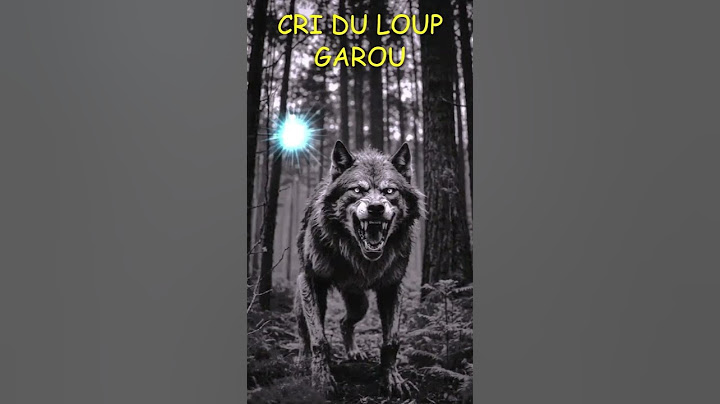LOUP qui HURLE🐺