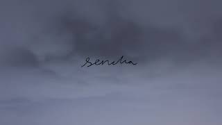 Work - Sencha