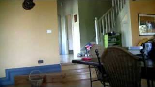 House Attack  Scene Action Essentials 2