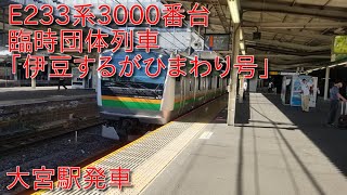 【臨時団体列車】E233系3000番台(横コツE10編成)「伊豆するがひまわり号」大宮駅発車シーン