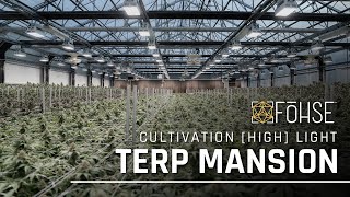 Terp Mansion | Fohse LED Grow Lights Boost Cannabis Yields in Humboldt, CA | Cultivation Highlight