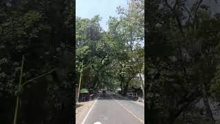 Download Lagu jalanan terasa sejuk bila alam nya masih terjaga dengan baik#videoshorts MP3