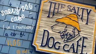Salty Dog Cafe at Hilton Head Island in 1 Minute | Lo-Fi Vlog- T-shirt Factory, Food, & South Beach