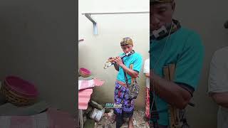 Suling andelan Ale-Ale Dewi Anjani Gacor #videoshort #erdarecord