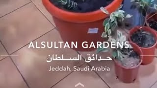 تغطيه لفاطمه شوبنق حدائق السلطان T shopping ?