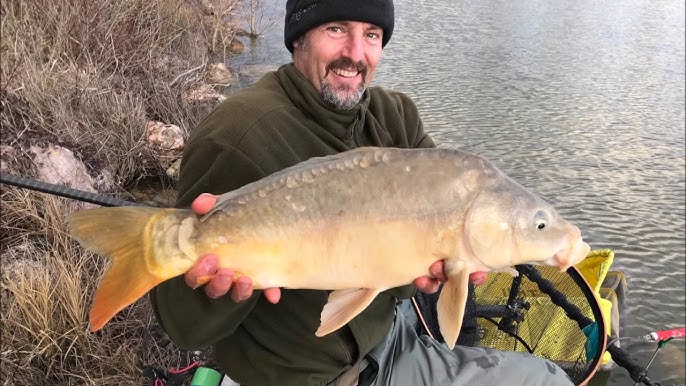 TSURI Canne à pêche au Coup Chinoise Professionnelle télescopique Carbone  Carpe 5m 7m Poisson Jusqu'à 14kg(Cannes, 5,4m) : : Sports et  Loisirs