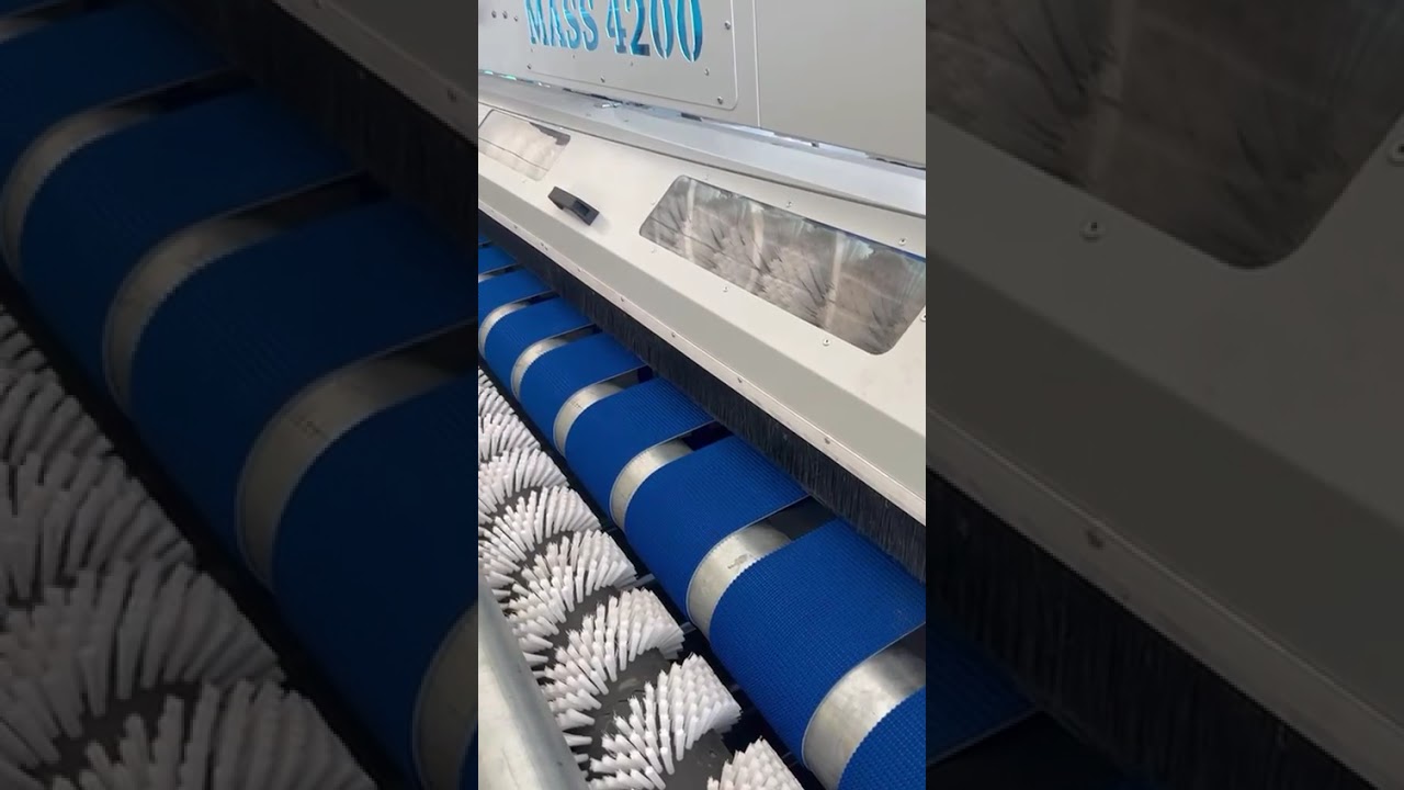 Scale your rug cleaning operations with Euromak in 2026. Visit EuromakUSA.com for specs. #Euromak