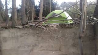 Pathway in Woods that Leads to Old Structure