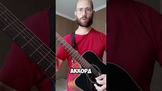 Учусь играть ГРОБ - Зоопарк #гроб #летов #егорлетов #зоопарк #гитараобучение #гитара #гитараснуля