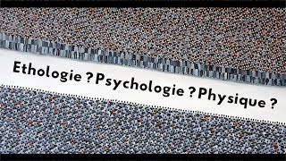 Ethologie, physique et psychologie des foules | EPISODE #3