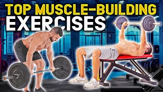 The ONLY 5 Barbell Exercises You Need for Muscle Mass | Revamp Your Workout