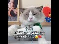 #youtubeshortsyoutubeshorts #اكسبلور #ايقنت #fypシ #kdrama #song #blackpink #video #كيدراما #bts