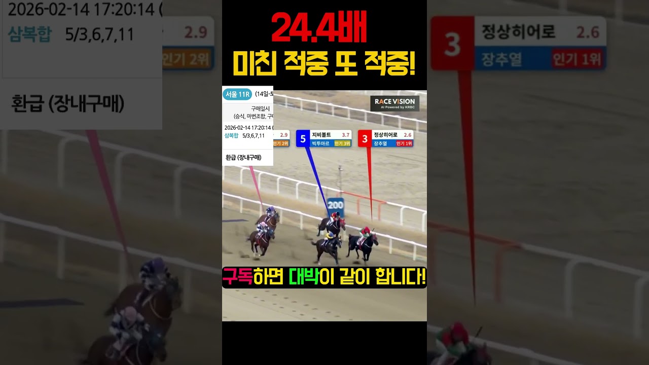 24.4배 미친적중으로 깔끔한 마무리!!! | 260214 토 서울11 경주 |  #고배당  #경마적중 #shorts #경마방송  #KoreaHorseRacing #쇼츠