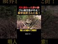 【破天荒】限界放置ニュータウンの現在がツッコミどころ満載！（滋賀県甲賀市・緑が丘5）