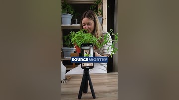 How to Hack Google’s AI Overview for Free Traffic Local SEO