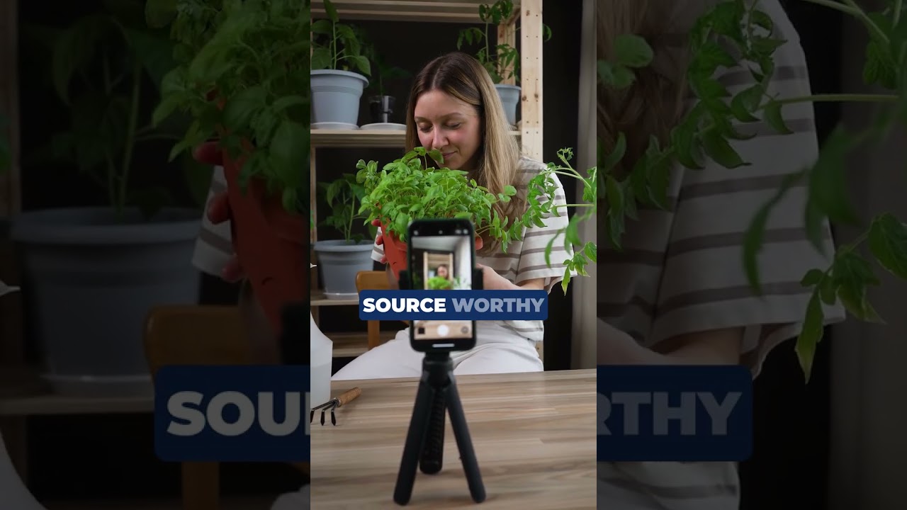 How to Hack Google’s AI Overview for Free Traffic Local SEO