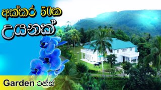 Best garden design company in Sri lanka | Gewathu Alankaranaya