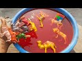 Wild Animals &amp; Dinosaurs Jumping into Red Water | Toy Fun for Kids! Kids Video 