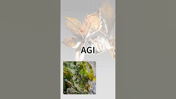 人間レベルのAI　『AGI』#AI #トークン #言葉 #人工知能 #GPT #機械学習 #最新技術 #chatgpt #理系雑学 #理系 #科学 #情報リテラシー