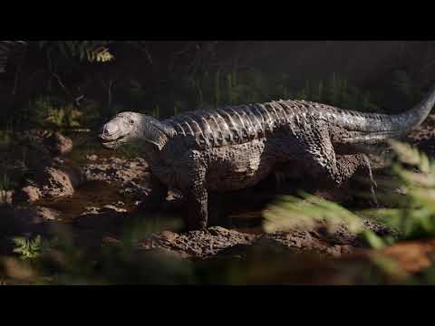 Aetosaurs: Herbivorous Crocodile Relatives