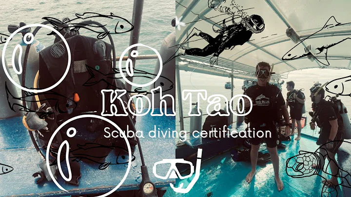 Our 5 nights in Koh Tao  | James open water scuba ...