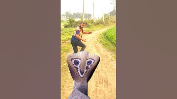 Anaconda snake in real life P57#shorts #short #snake #nagin #python #anaconda #snakes #bigsnake