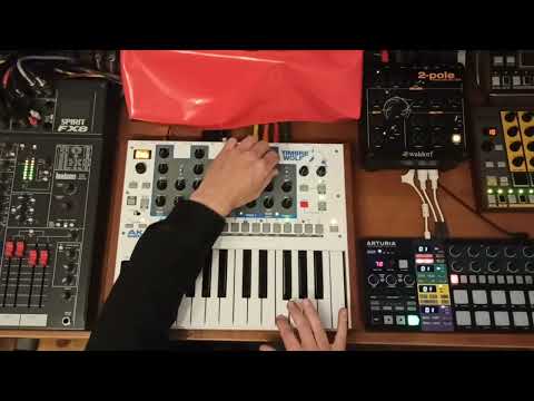 Akai Timbre Wolf Analog Synthesizer | Reverb