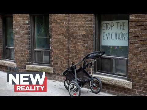 The New Reality: