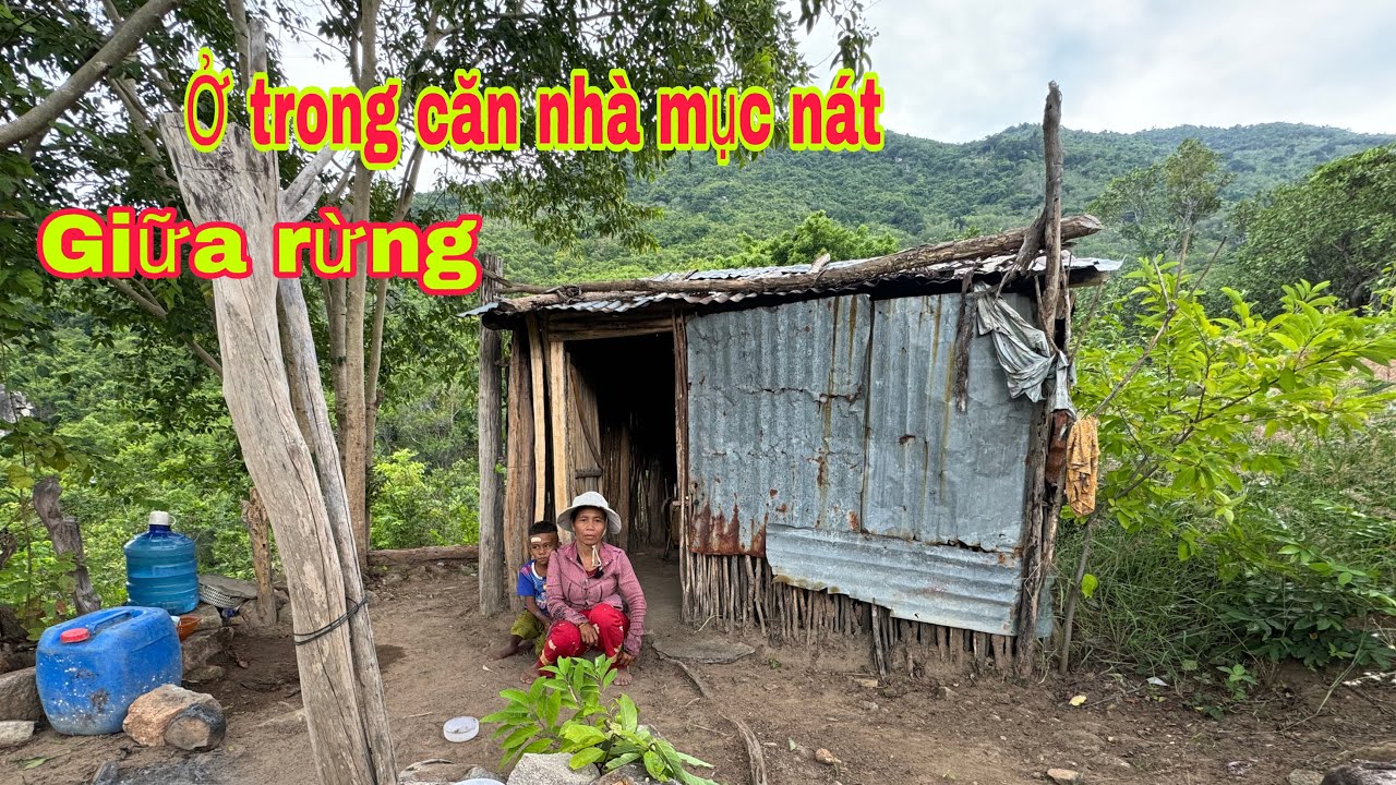 Giữa rừng hoang HAI MẸ CON ở trong căn nhà mục nát || 146