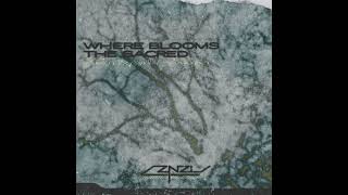 Znzl - We Receive Guidance Through Our Dreams - Where Blooms The Sacred EP