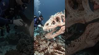 They Found a Giant Sea Monster Skeleton#shorts  #ocean #mystery #deepsea