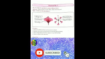 Class 10 Science -2 Practical Book Practical 3 Solutions || Class 10 Science Practical Book Answer