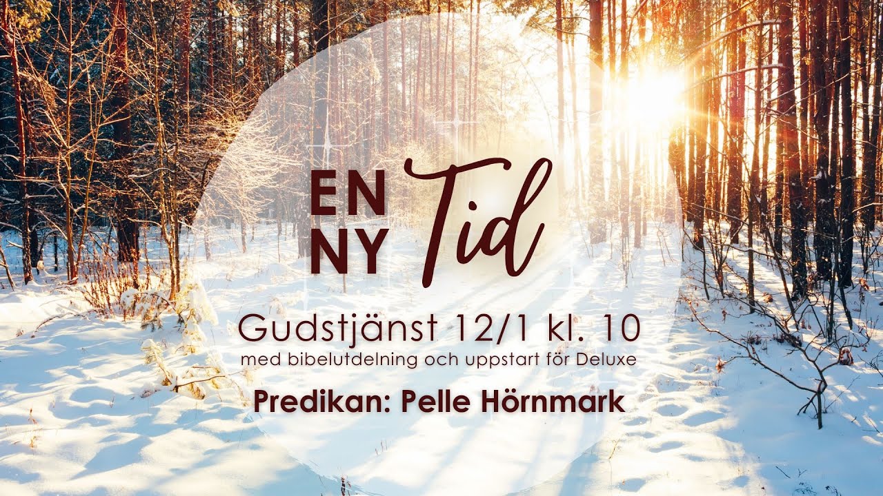 EN NY TID, Pelle Hörnmark, 12 Januari