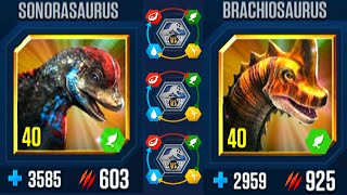 SONORASAURUS VS BRACHIOSAURUS ALL EVOLUTIONS ALL X3 LV 40 | JURASSIC WORLD THE GAME