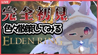 【#ELDENRING #03】どうやら寄り道優先で動いた方が良いらしいじゃん【完全初見】