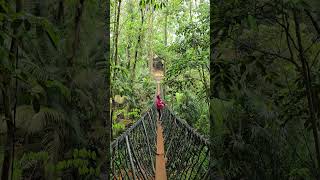 at the hanging bridge #fypage #junglelife #lifeisbutadream #igorotak