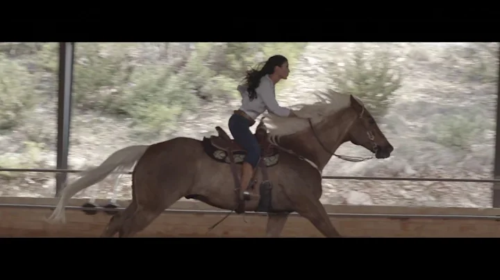 Jon Wolfe - Baby This and Baby That (Official Musi...