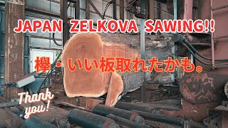 いい板取れたかも。欅・Japan Zelkova Sawing!!