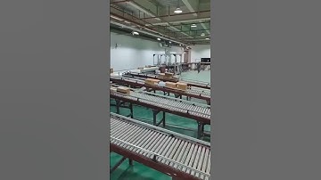 Carton box case sorting conveyors with DWS system