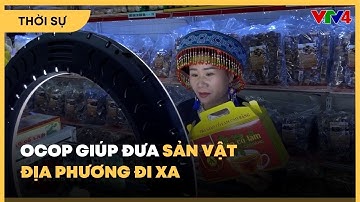 OCOP giúp đưa sản vật địa phương đi xa | VTV4