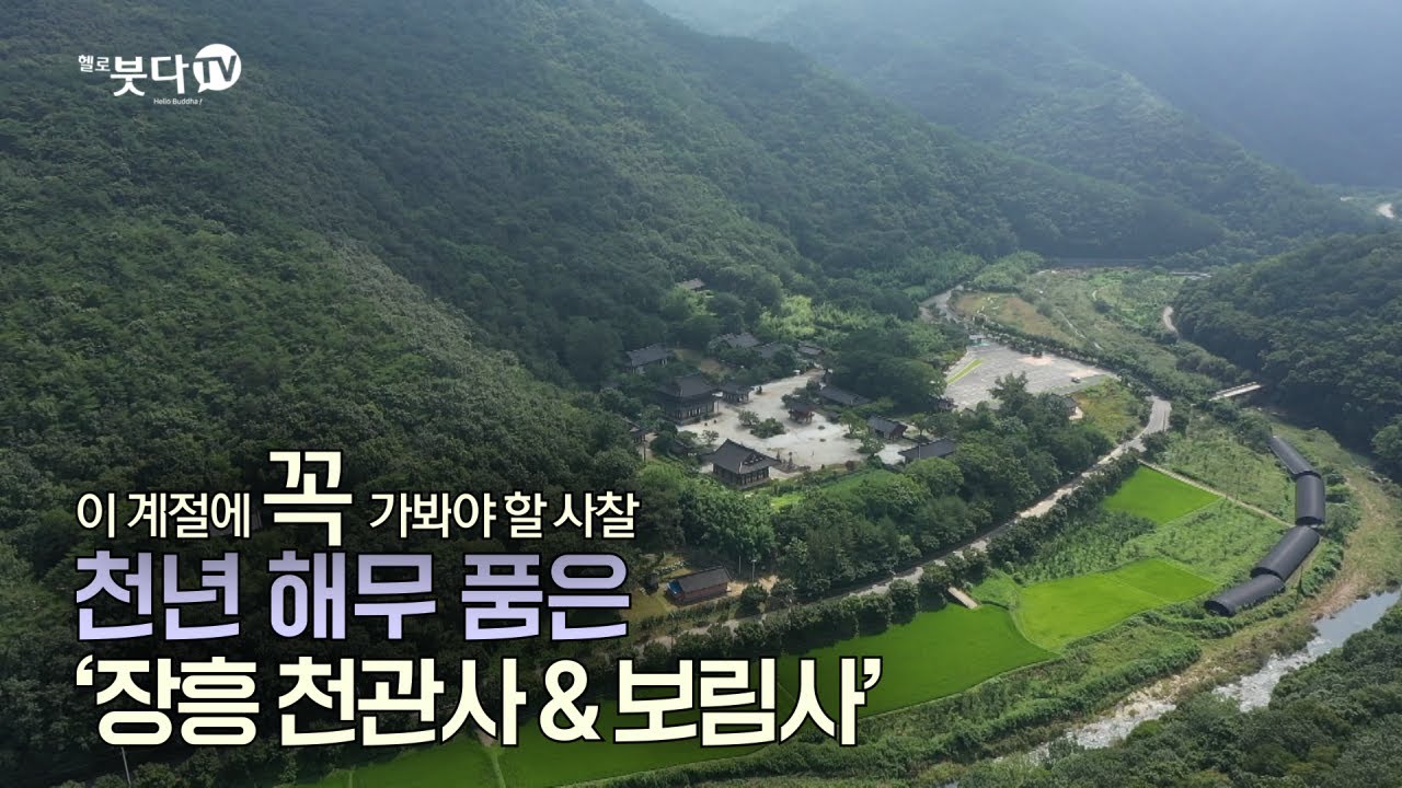 천년 해무 품은 '장흥 천관사 & 보림사 ' | 바람, 물, 새소리로 듣는 마음여행 | 이 계절에 꼭 가봐야 할 사찰