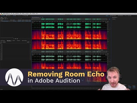 How to Remove Room Echo in Adobe Audition