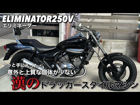 Eliminator 250V] has arrived in stock for the first time in a
