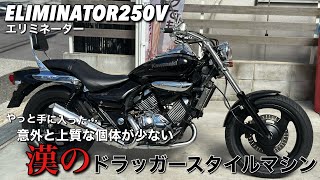 Eliminator 250V] has arrived in stock for the first time in a