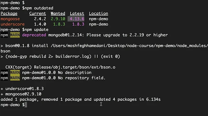 31 Updating Local Packages