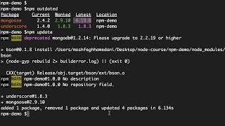 31 Updating Local Packages